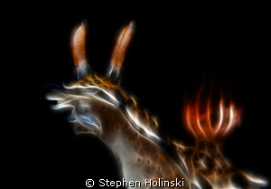 Psychedelic Nudibranch No. 2 - Final Entry of 2010 - Happ... by Stephen Holinski 
